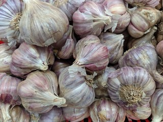 Garlic in a bowl white