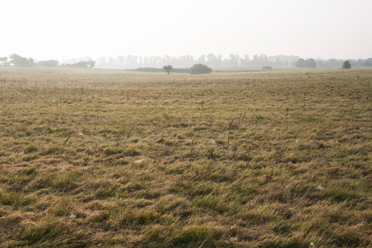 Vast Dry Grass Field with Hazy Horizon