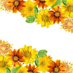 Beautiful floral background of gazania, sunflower and chrysanthemum. Isolated