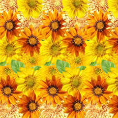 Beautiful floral background of gazania, sunflower and chrysanthemum. Isolated