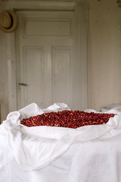 Red Berries Drying on White Cloth in Rustic Home Interior