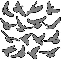 Concept of love or peace. Set silhouettes doves.