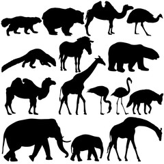 Silhouette elephant bear eagle trot duck zebra on a white background