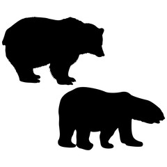 Silhouette of a white and brown bear on a white background