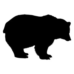 Silhouette brown bear on a white background