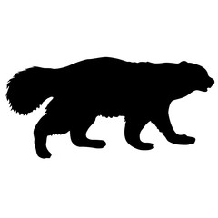 Silhouette of Wolverine on a white background