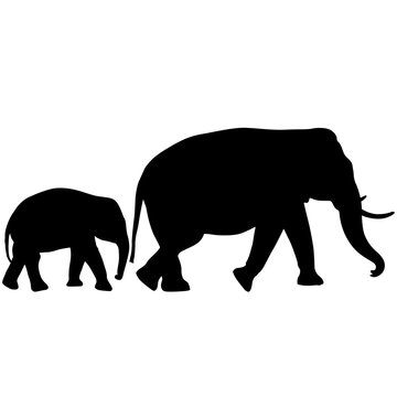 Silhouette of an African elephant with a little elephant on a white background
