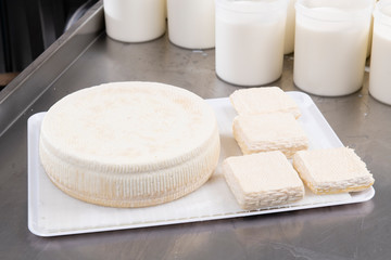 Fresh cheese ready for seasoning
