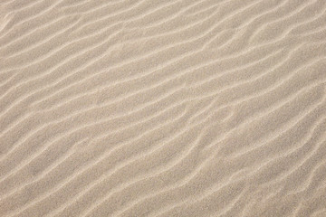 sand surface with waves, texture and background.