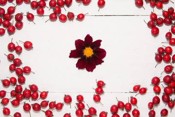 red berries of hawthorn with green leaves white wooden texture background top view frame from berries texture tree