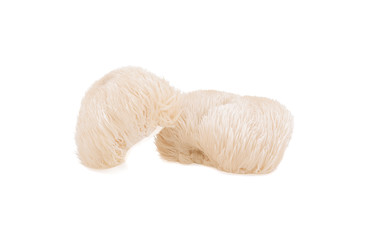 lion mane mushroom isolated on white background.