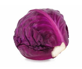 Purple cabbage on white background