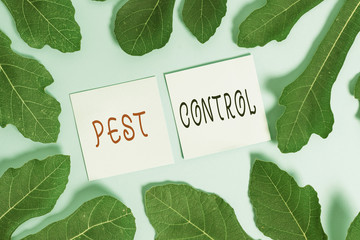 Handwriting text writing Pest Control. Conceptual photo Killing destructive insects that attacks crops and livestock