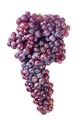 Ripe fresh blue grape bunch isolated on white background