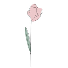 Pink flower on white background, vector illustration