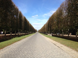 Fototapeta premium French garden