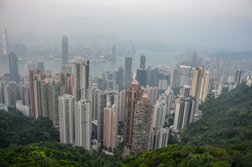 Fototapeta premium skyscrapers in Hong Kong, view