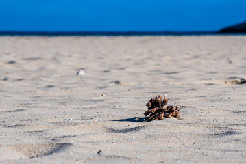 Single cone on the Beach - Ibiza