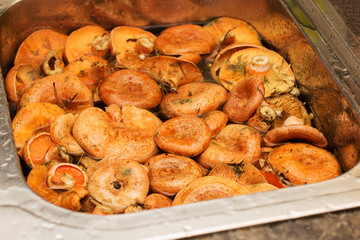 Fall season. Mushroom hunt. Saffron milk cap aka red pine mushrooms aka Lactarius deliciosus being washed in a sink. This is a widely collected mushroom used in various European cuisines