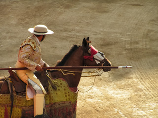 Venezuela. Corrida. Bullfight. Spanish traditions.