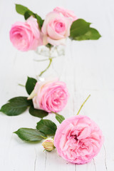 Pink roses in a glass