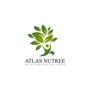 logo atlas nutree, with gradient leaves colours