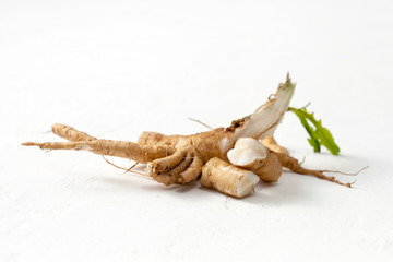 Raw chicory root (Cichorium intybus) with leaves on a white background.