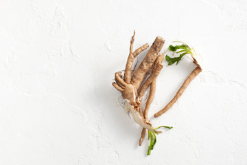 Crude chicory root (Cichorium intybus) with leaves on a white background.