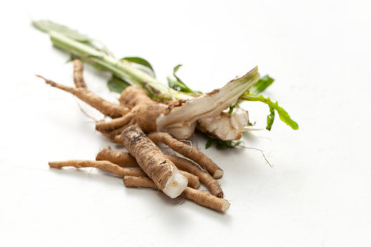 Crude chicory root (Cichorium intybus) with leaves on a white background.