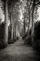 Beautiful view of the medieval center of Florence