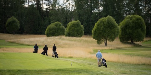 Varied terrain of the Kanava Golf Course. Group of golfers moving on the emerald green fiels to their next target. Disaigned trees and bushes.