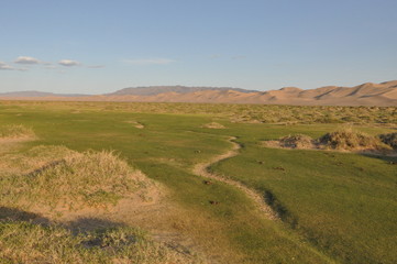 Obraz premium Mongolie intérieure, Plaine
