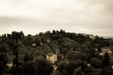 Fototapeta premium Beautiful view of the medieval center of Florence