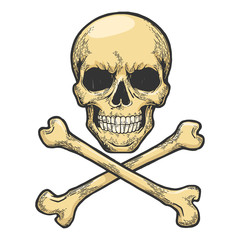 Skull with crossed bones. Pirate symbol Jolly Roger sketch engraving vector illustration. Tee shirt apparel print design. Scratch board style imitation. Hand drawn image.