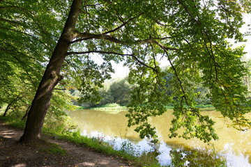 Romantic solitude Path with old big Trees about River Sazava in Central Czech