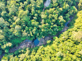 top view of the forest and waterfall