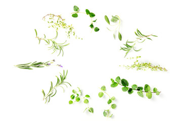 Culinary aromatic herbs, shot from the top on a white background, forming a frame with a place for text, a food design template