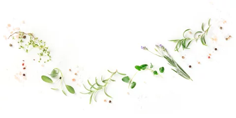 Foto op Canvas A panorama of culinary aromatic herbs on a white background, a flat lay composition with copy space, a cooking design template © laplateresca