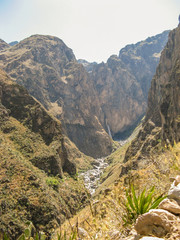 Peru Colca Canyon