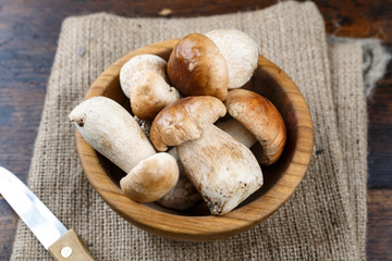 boletus mushrooms in a plate on the table