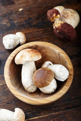 raw boletus place for text