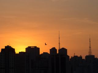 Fototapeta na wymiar beautiful sunset with antenna and bird building silhouette