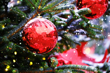 red ball, symbol of christmas and new year.  Bright red balls hanging on fir branches, winter...