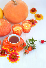 seasonal composition with orange pumpkins, tea cup and autumn flowers on white wooden table. thanksgiving holiday, autumn season. fall time. shallow depth. close up. soft selective focus