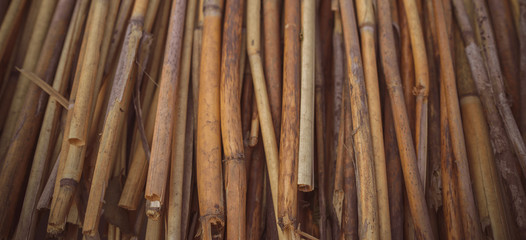 Texture of bamboo rods. A background with copy space.