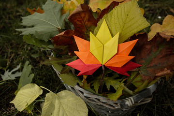 Autumn concept background traditional paper craft handmade origami fallen maple leaves nature Colorful backround image perfect for seasonal use colorfull close up