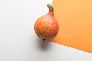 top view of pumpkin on white and orange background