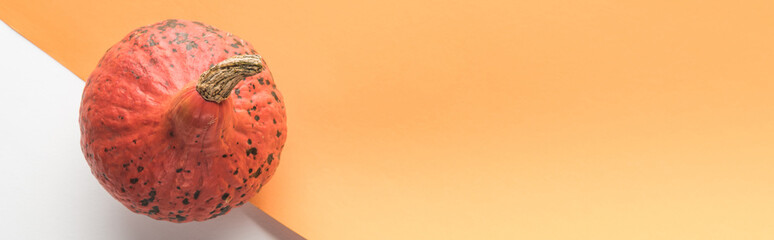 top view of ripe pumpkin on white and orange background, panoramic shot