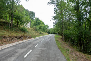 Fototapeta na wymiar Road between Olot and Ripoll in the Catalan Pyrenees