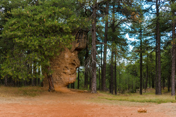 The "Ciudad Encantada" located in Cuenca, Spain